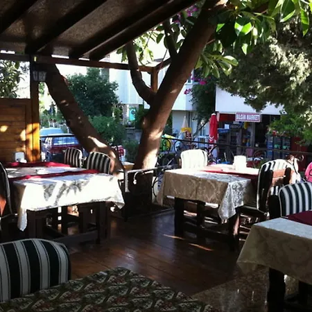 Palm Hotell