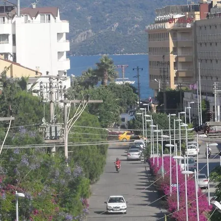Hotell Palm 3*