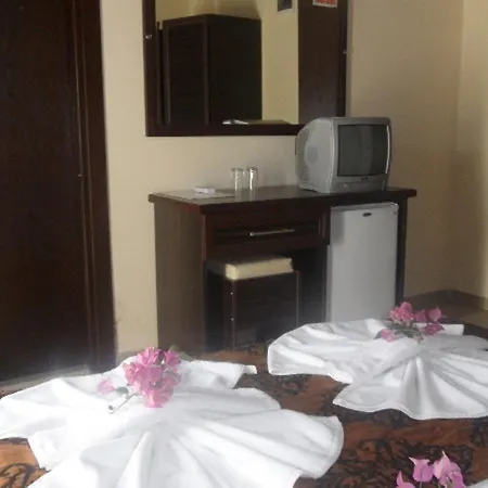 Palm Hotel