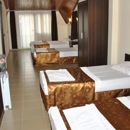 Hotel Palm 3*