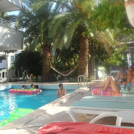 Palm