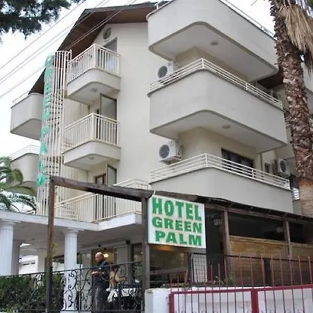 Palm